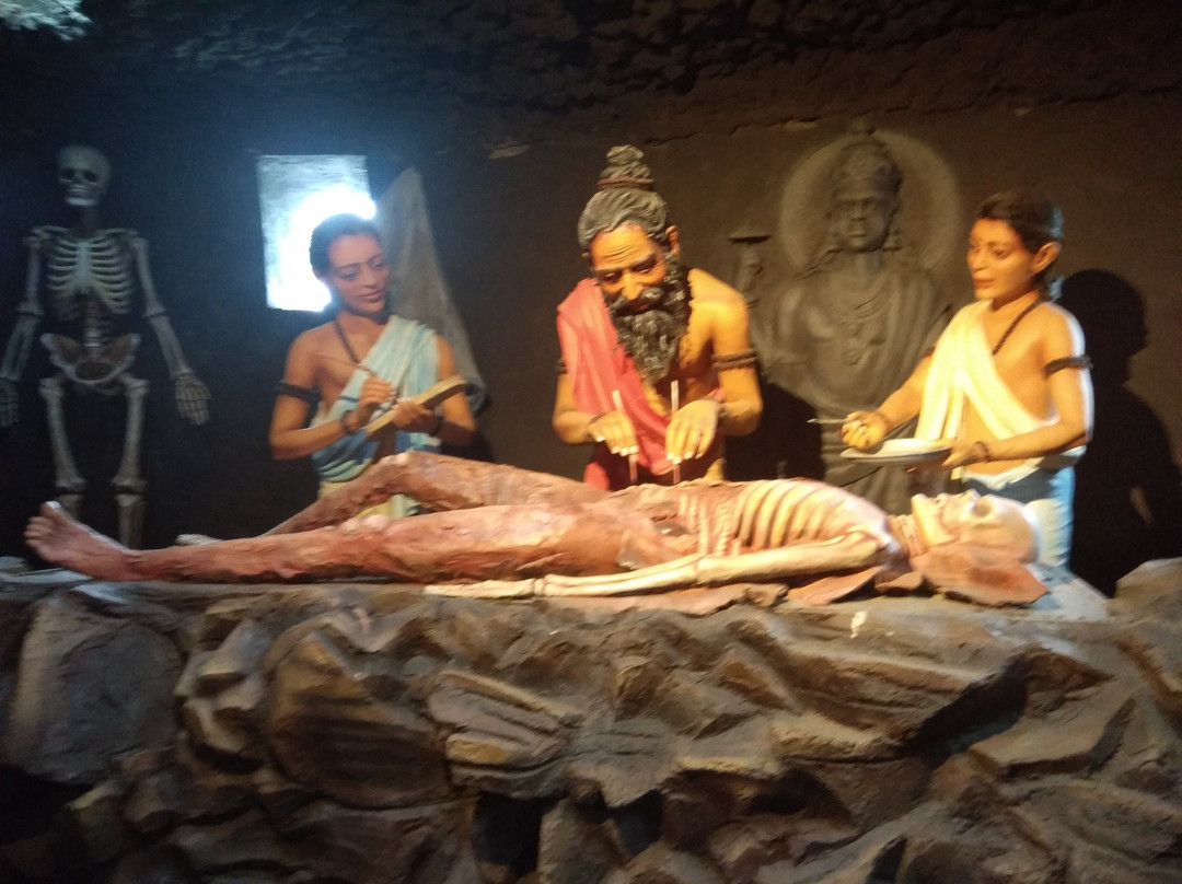 Siddhagiri Museum景点图片