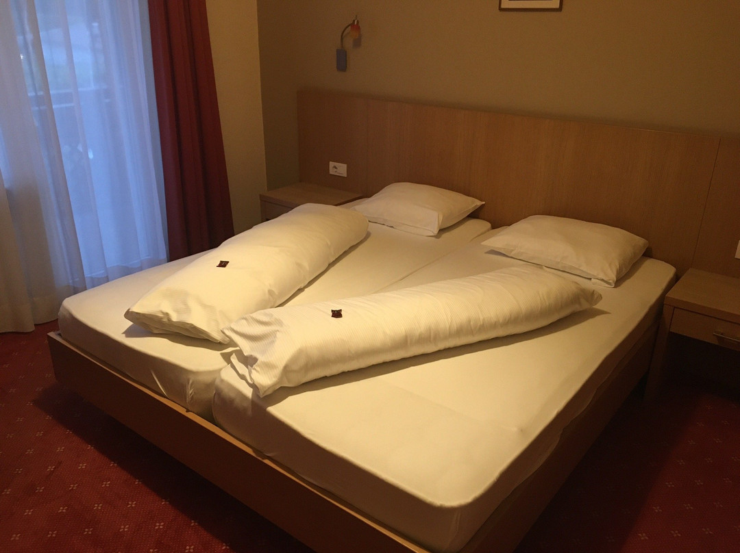 Hotel Weingarten主图