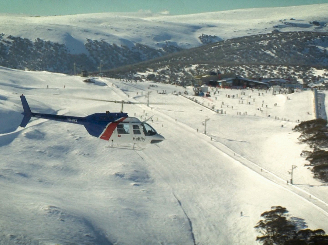 Helifly-奥尔伯里必去景点