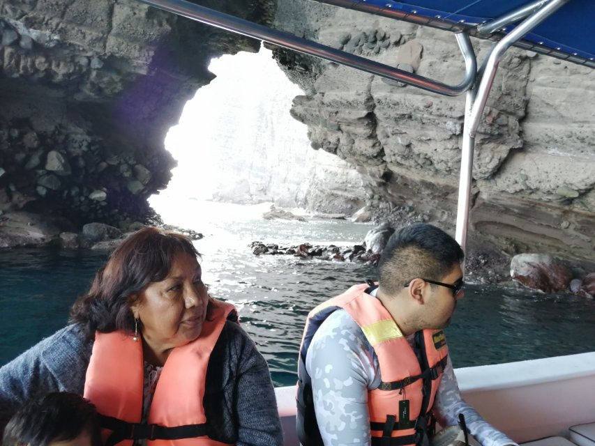 Lobitos Seafari-拉巴斯必去景点