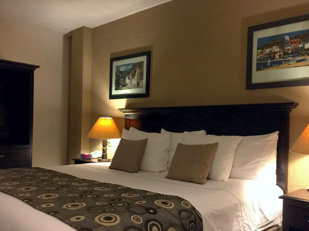 Best Western Posada Del Rio主图