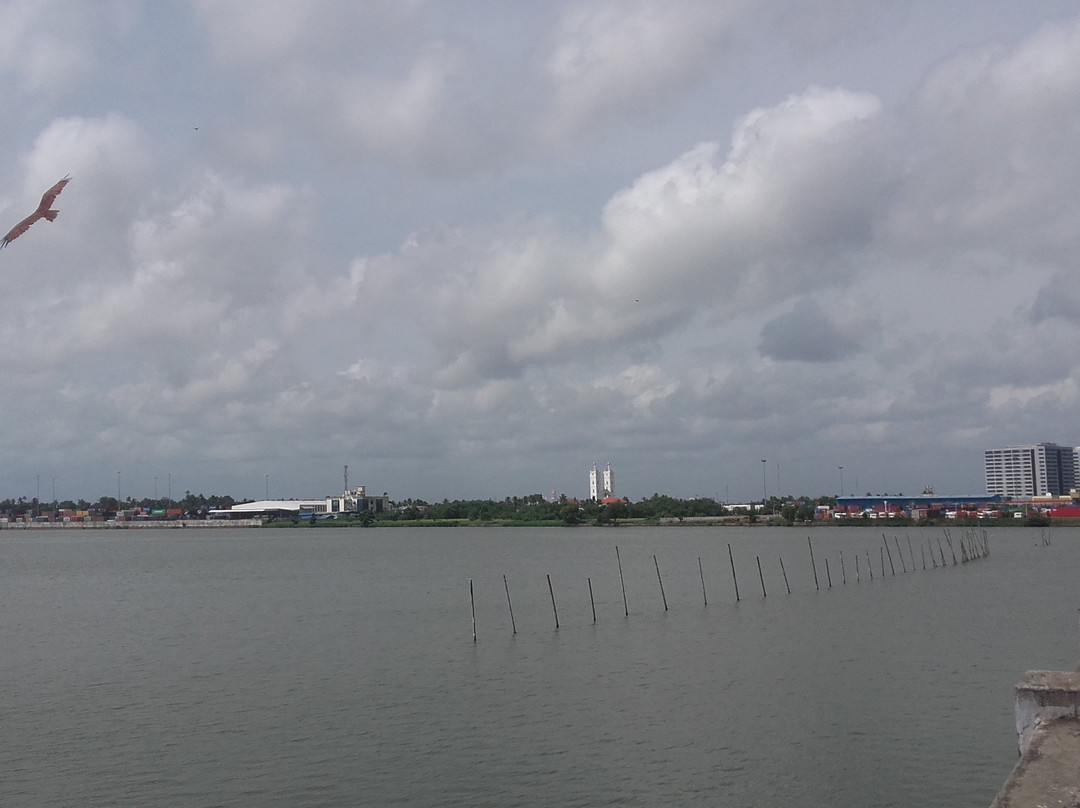 Vellayani Lake景点图片