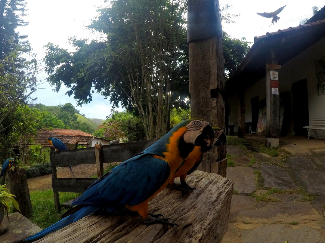 Fazenda Resgatinho-Bananal必去景点