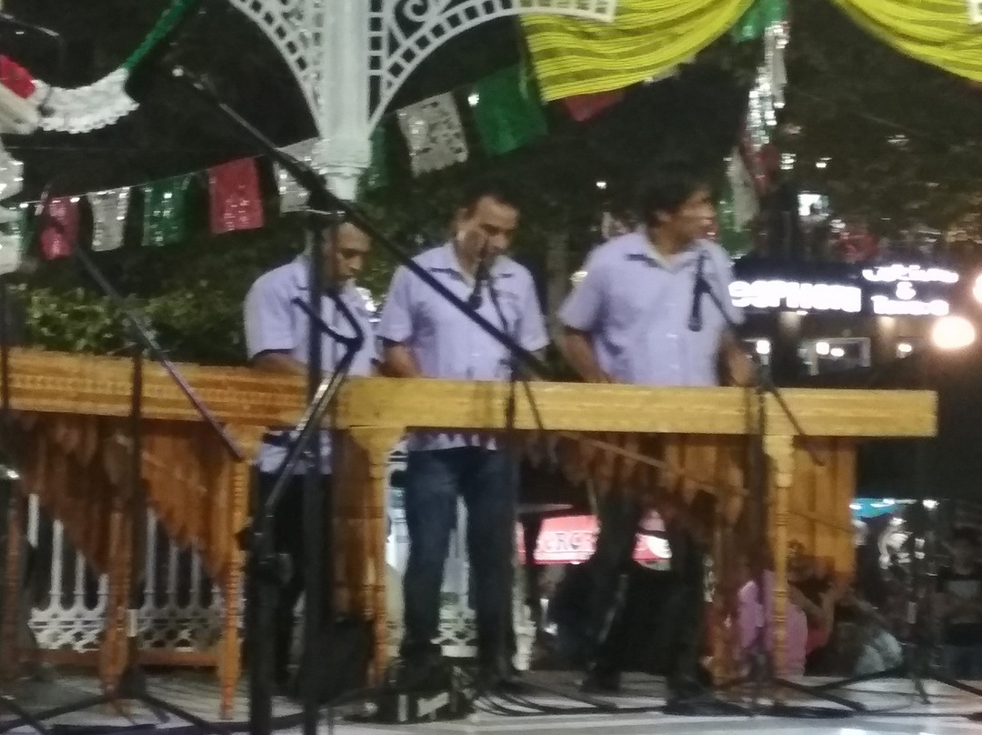 Parque de la Marimba-图斯特拉古铁雷斯必去景点