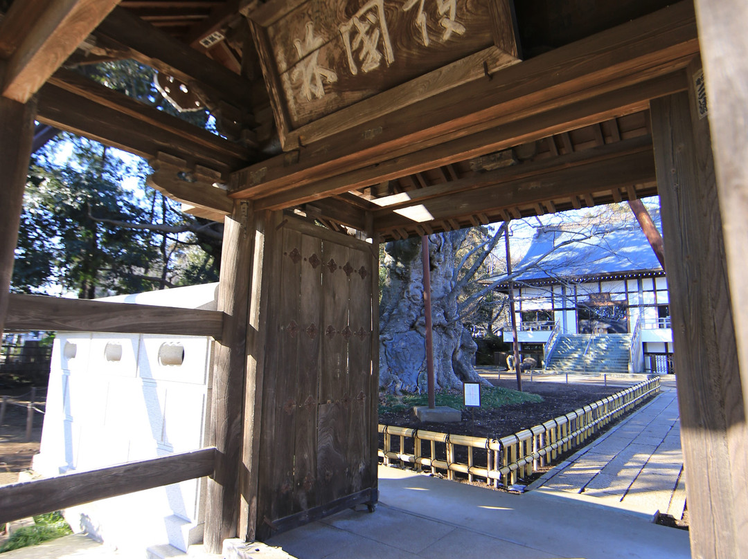 Kogen-ji Temple景点图片