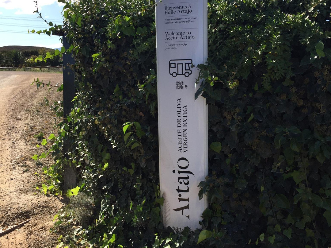 Aceite Artajo-Fontellas必去景点