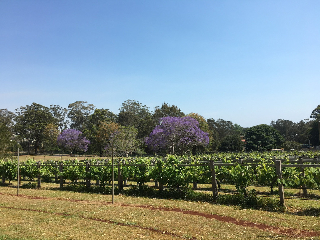 Douglas Vale Historic Homestead & Vineyard-麦克夸利港必去景点