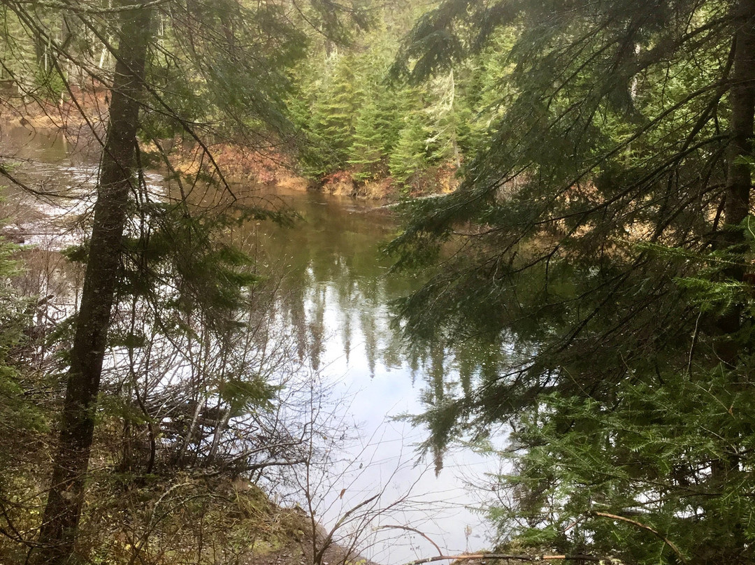 Whiskey Rapids Trail景点图片
