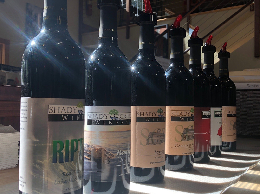Shady Creek Winery
