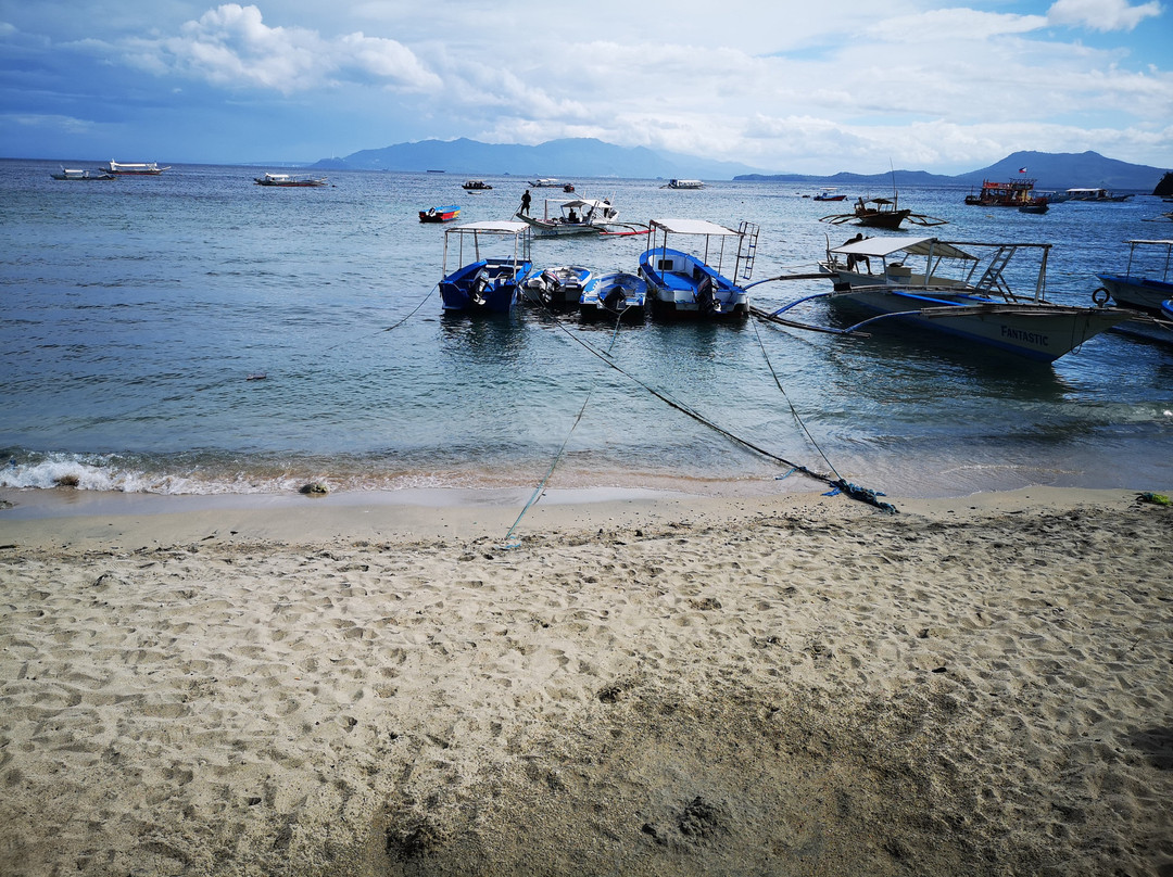 海洋驾驭潜水中心-葡多咖蕾拉必去景点