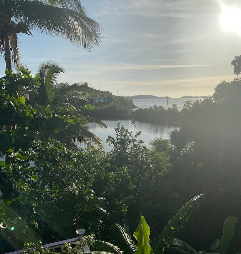 Garden by the Sea B&B主图