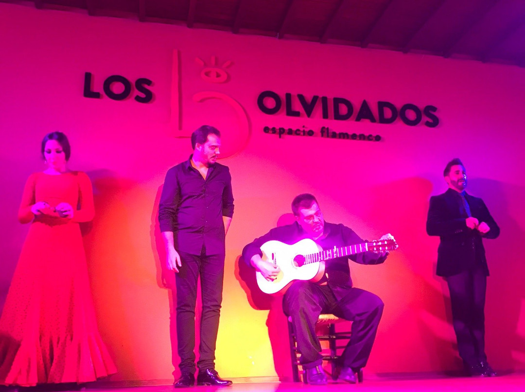 Flamenco los Olvidados景点图片