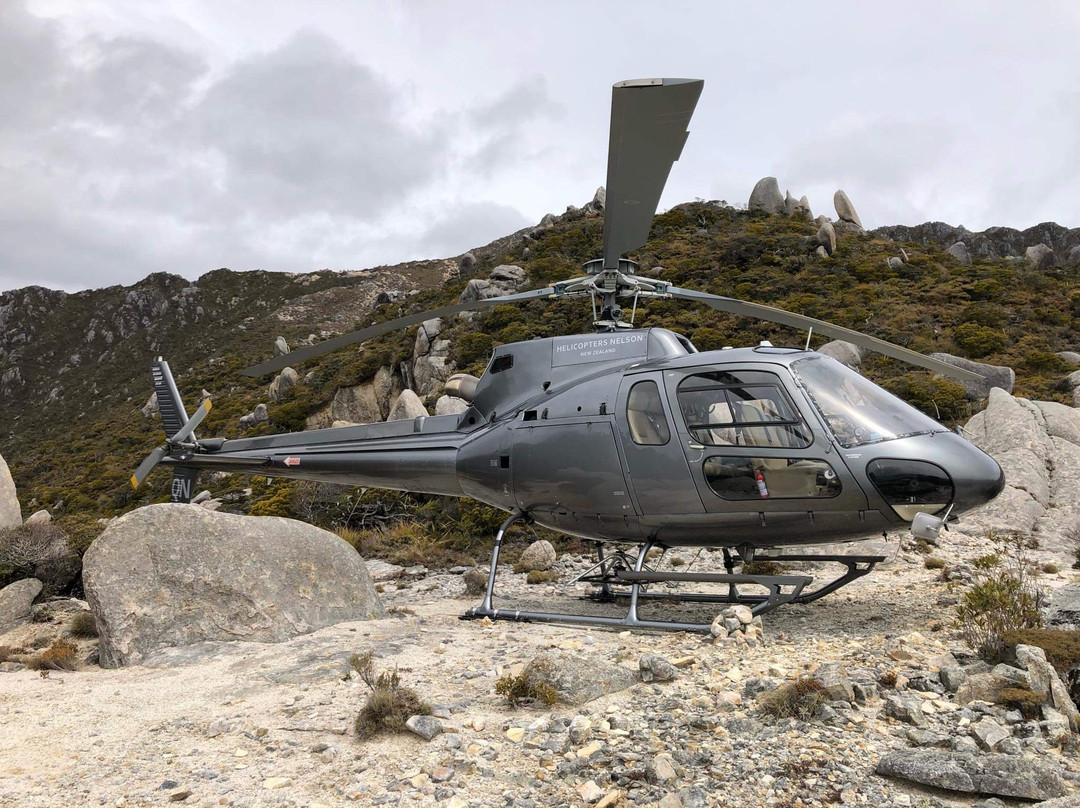 Helicopters Nelson New Zealand景点图片