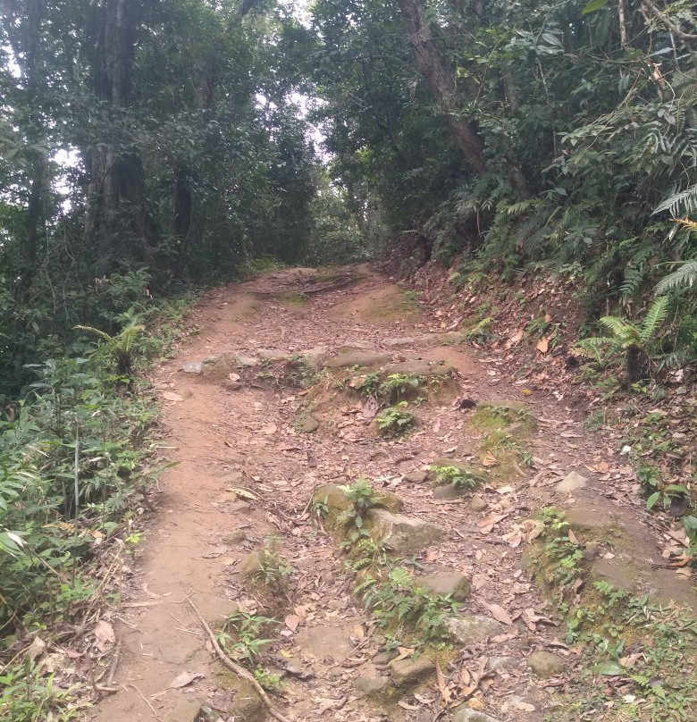 Morro da Baleia-Ilha do Mel必去景点