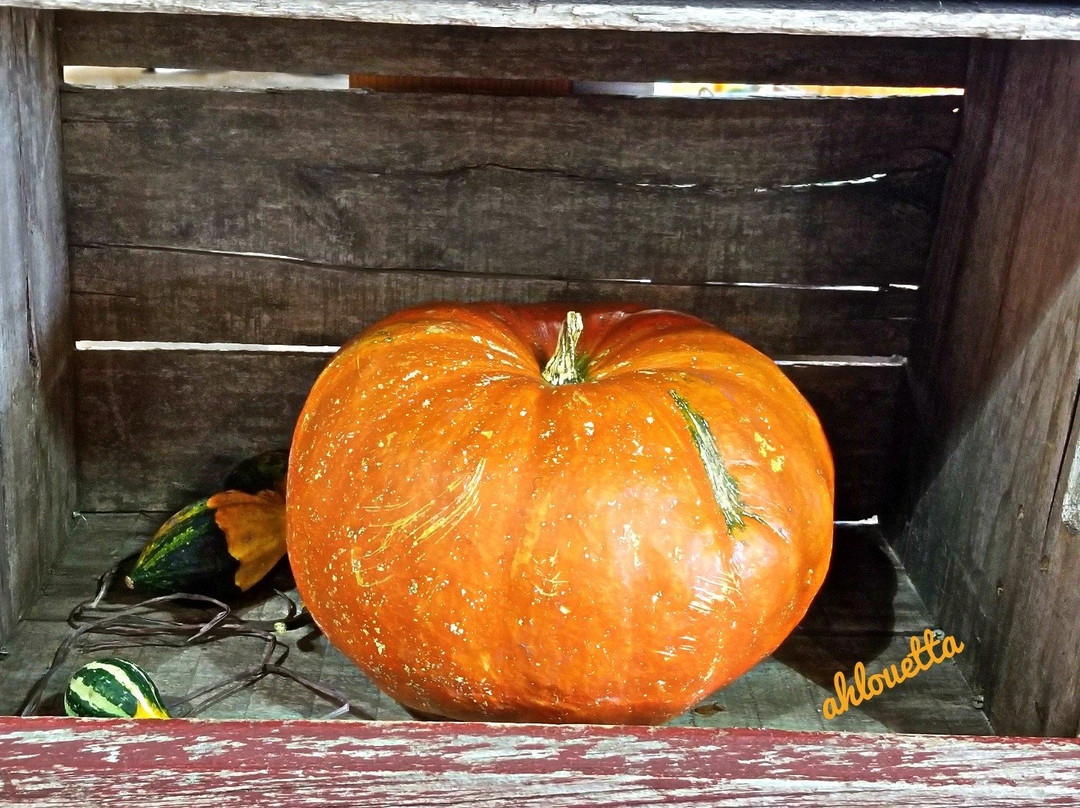 Kimmel Orchard & Vineyard-Nebraska City必去景点