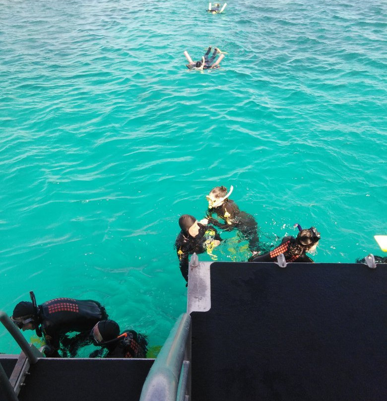 Opal Reef-道格拉斯港必去景点