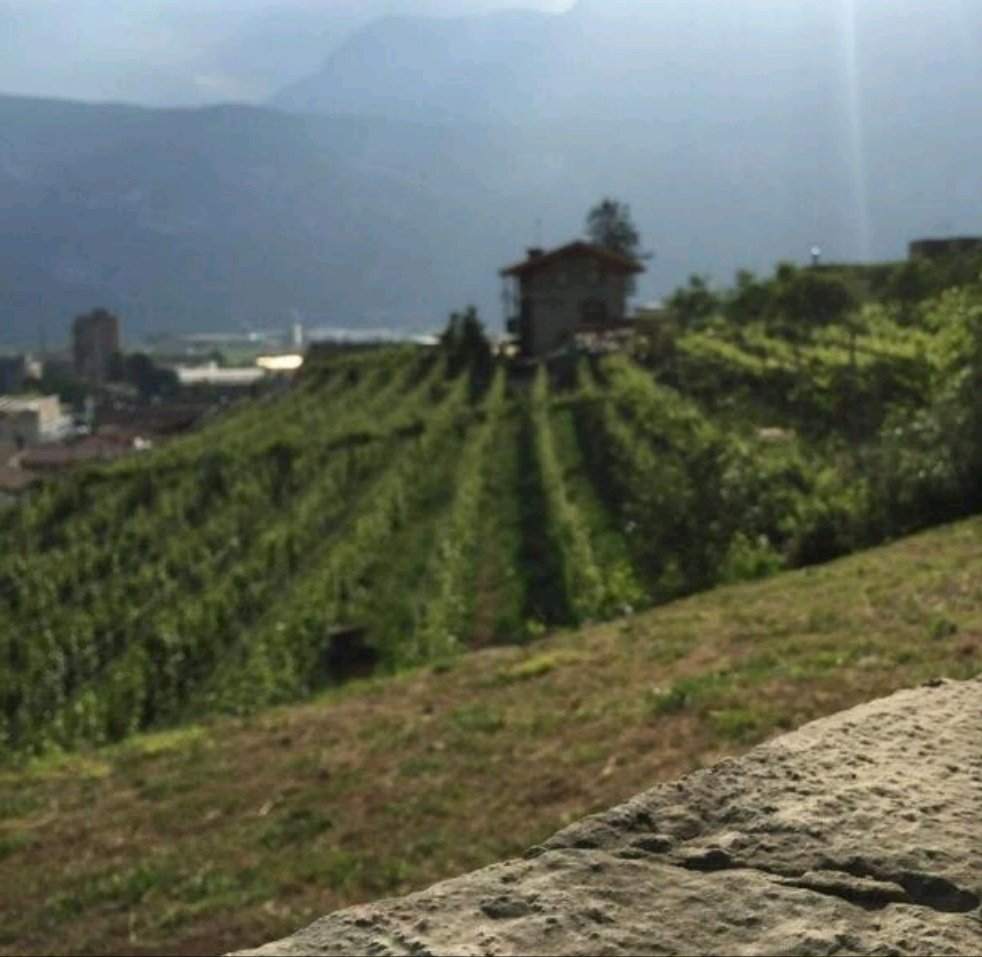 B&B Le Strade Del Gavi-官方