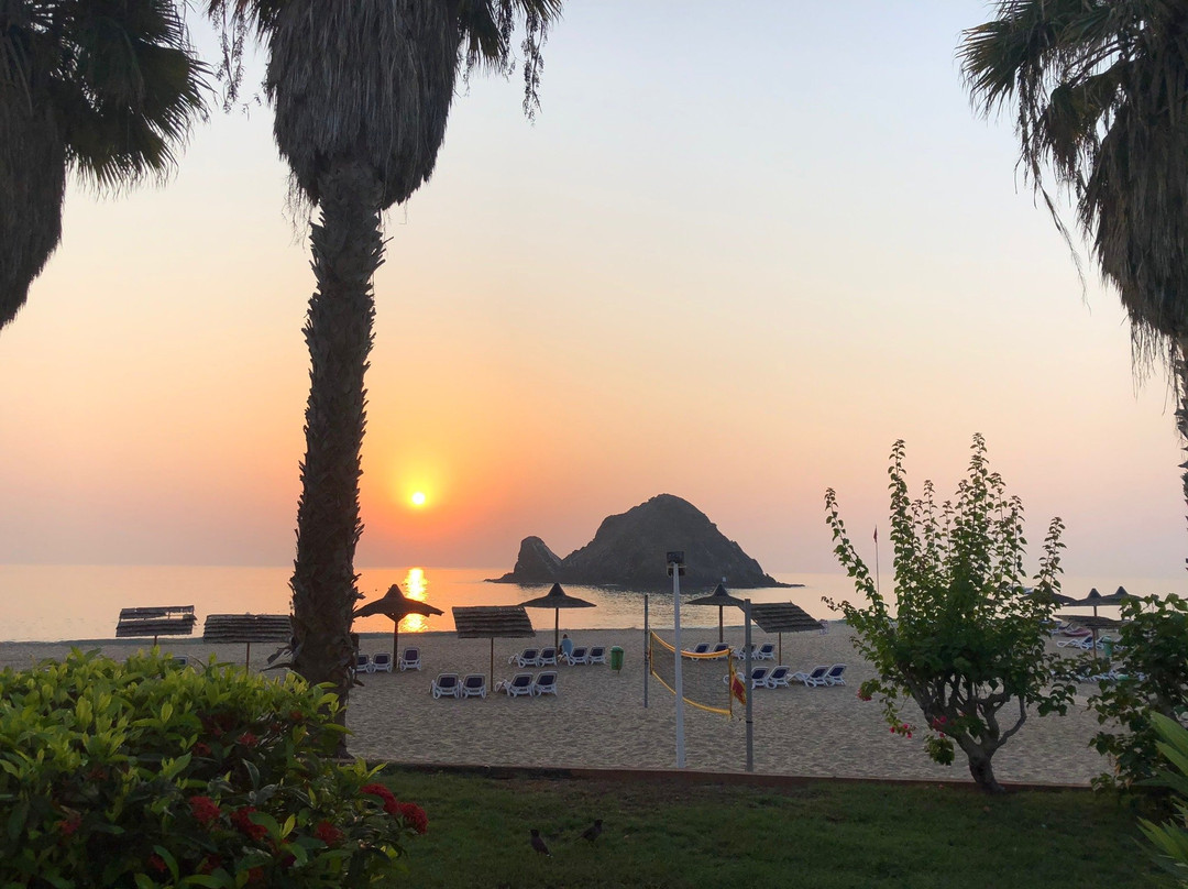 Sandy Beach Dive Centre-富查伊拉必去景点