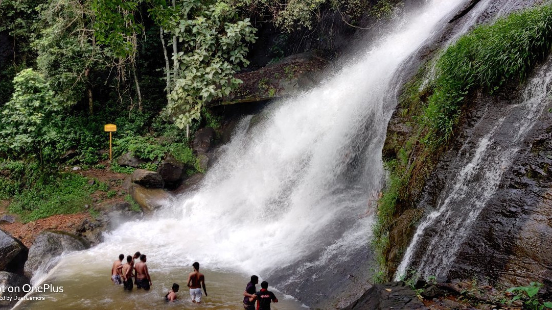 Areekkal Water Falls景点图片