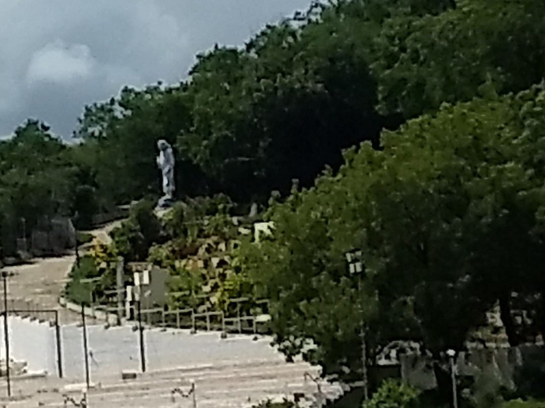 Chaitanya Jyoti Museum景点图片