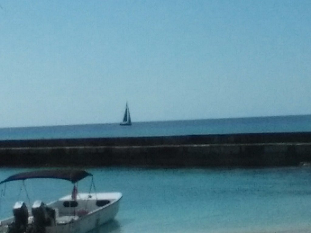 Green Flash Whale Tours-Salt Cay必去景点