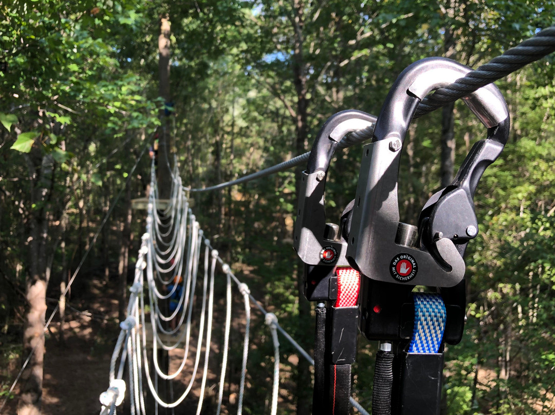 Canopy Adventure Park景点图片