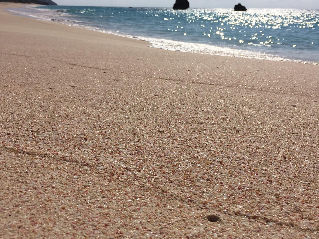 Cool Run Ins Bermuda