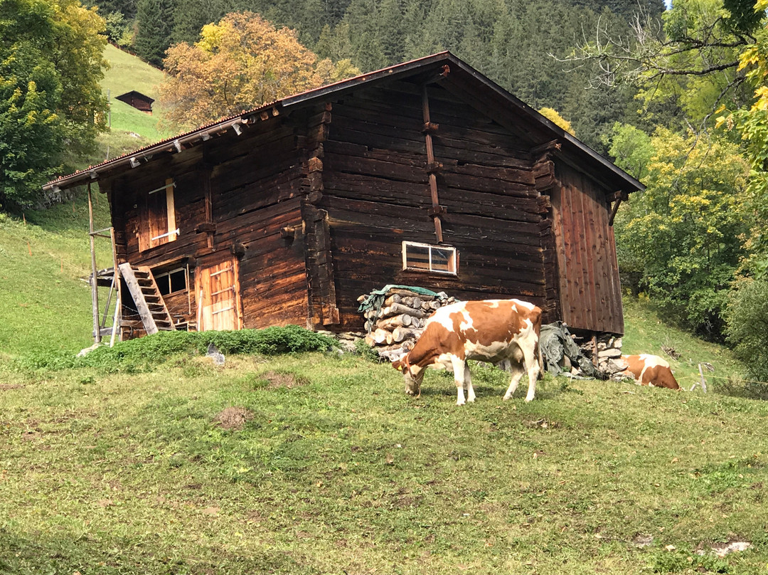 Gimmelwald - Tanzbodeli-Gimmelwald必去景点
