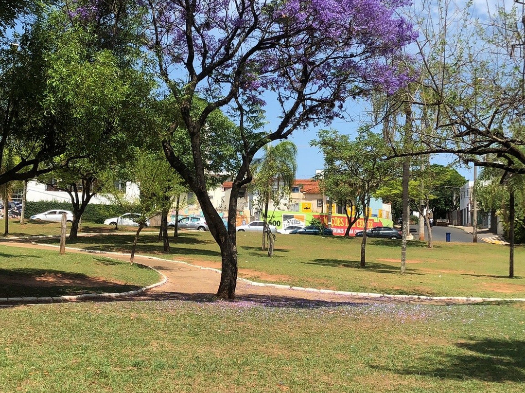 Parque Vitória Régia景点图片