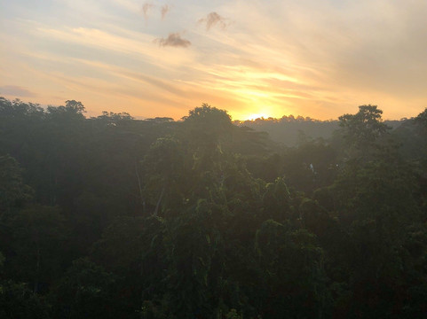 Bee View Home Stay主图