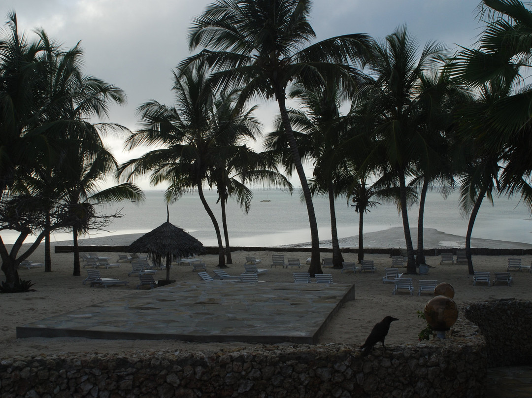 Jacaranda Beach Resort主图