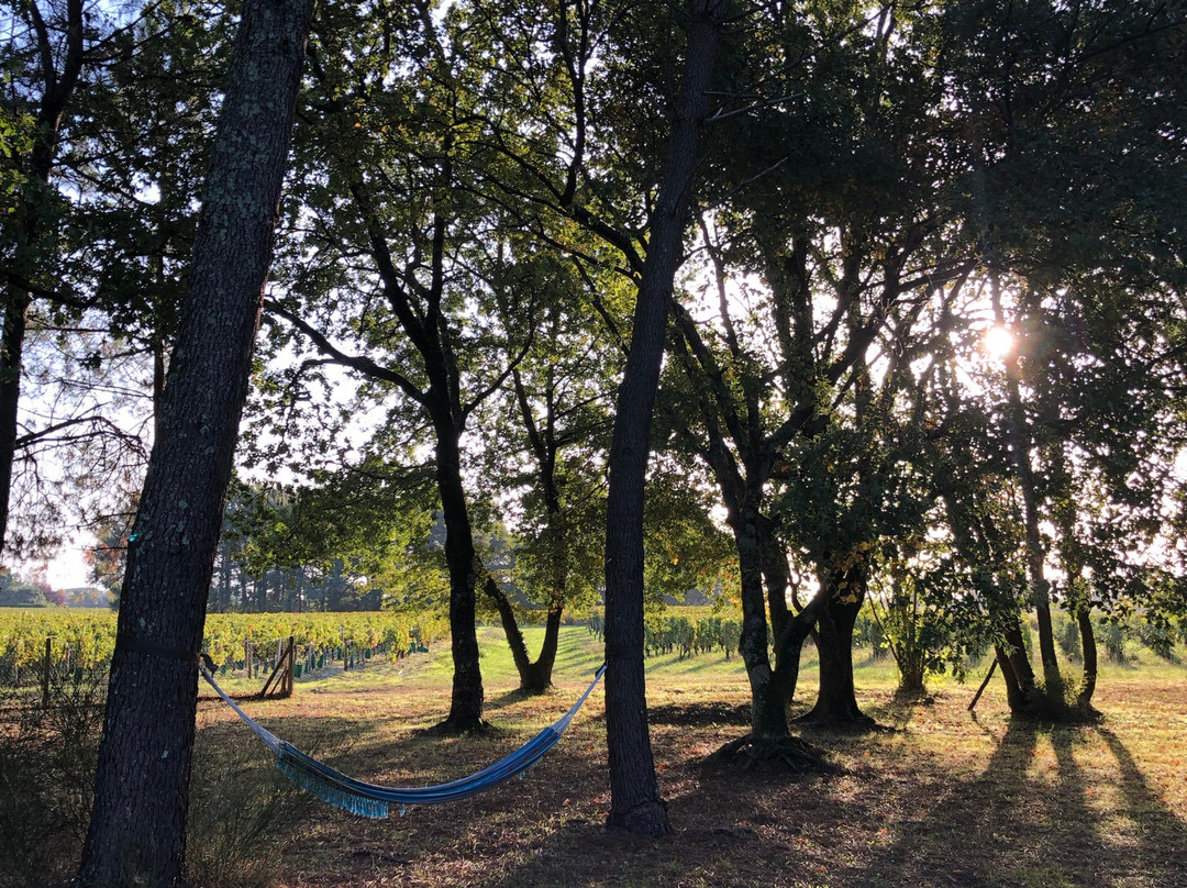 Domaine de Giron主图