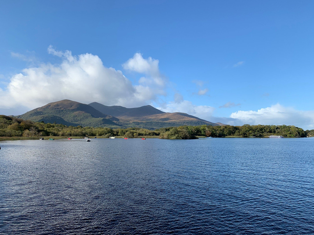 Green Road Cycle Tours, Killarney-基拉尼必去景点