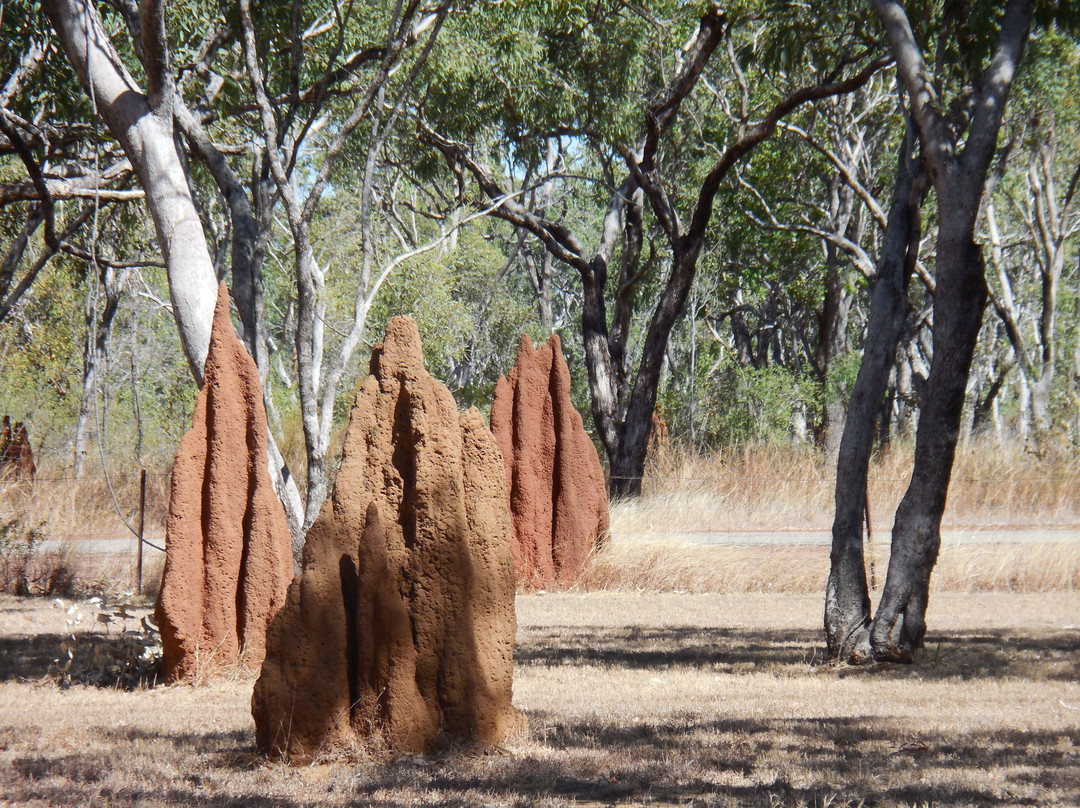 Elsey Cemetery National Reserve-Mataranka必去景点