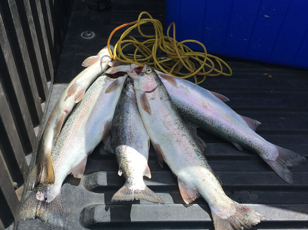 Ochoco Lake State Park-Prineville必去景点