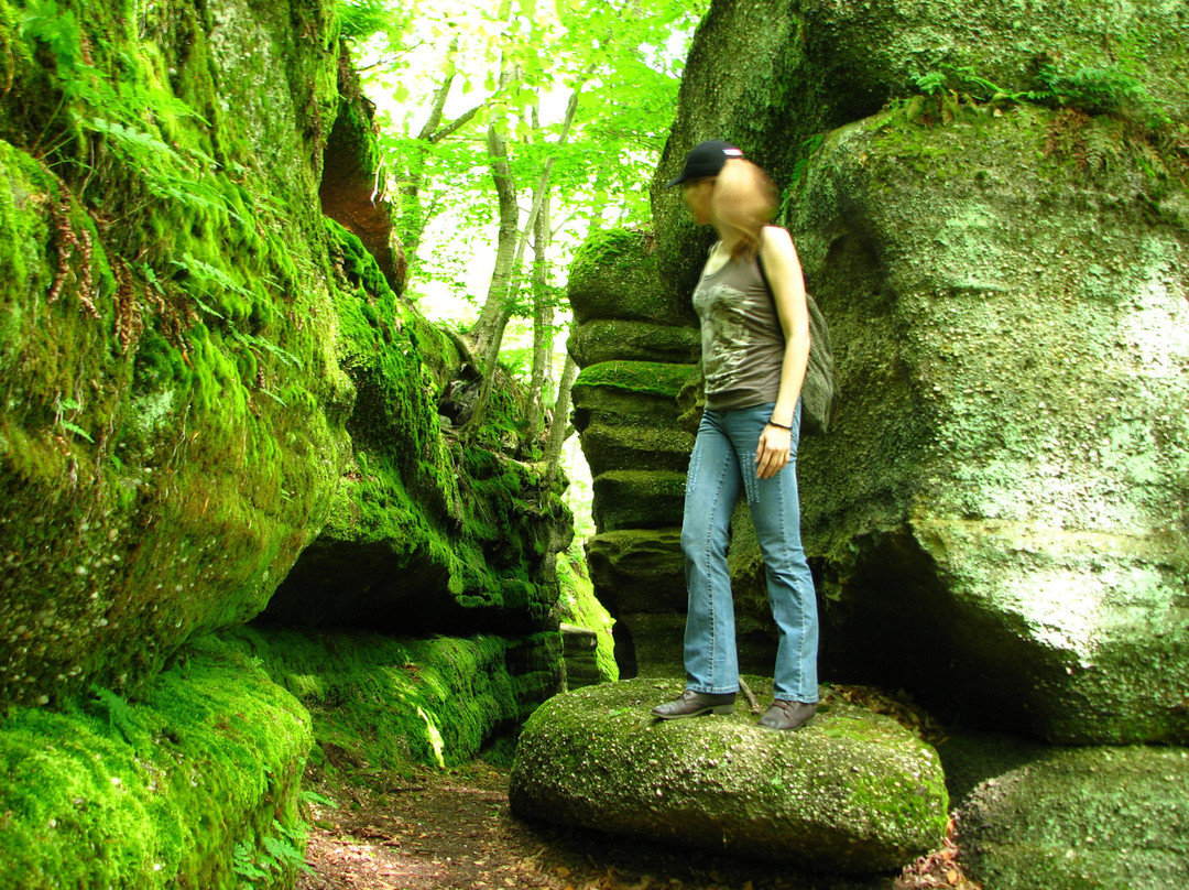 Nelson-Kennedy Ledges State Park景点图片