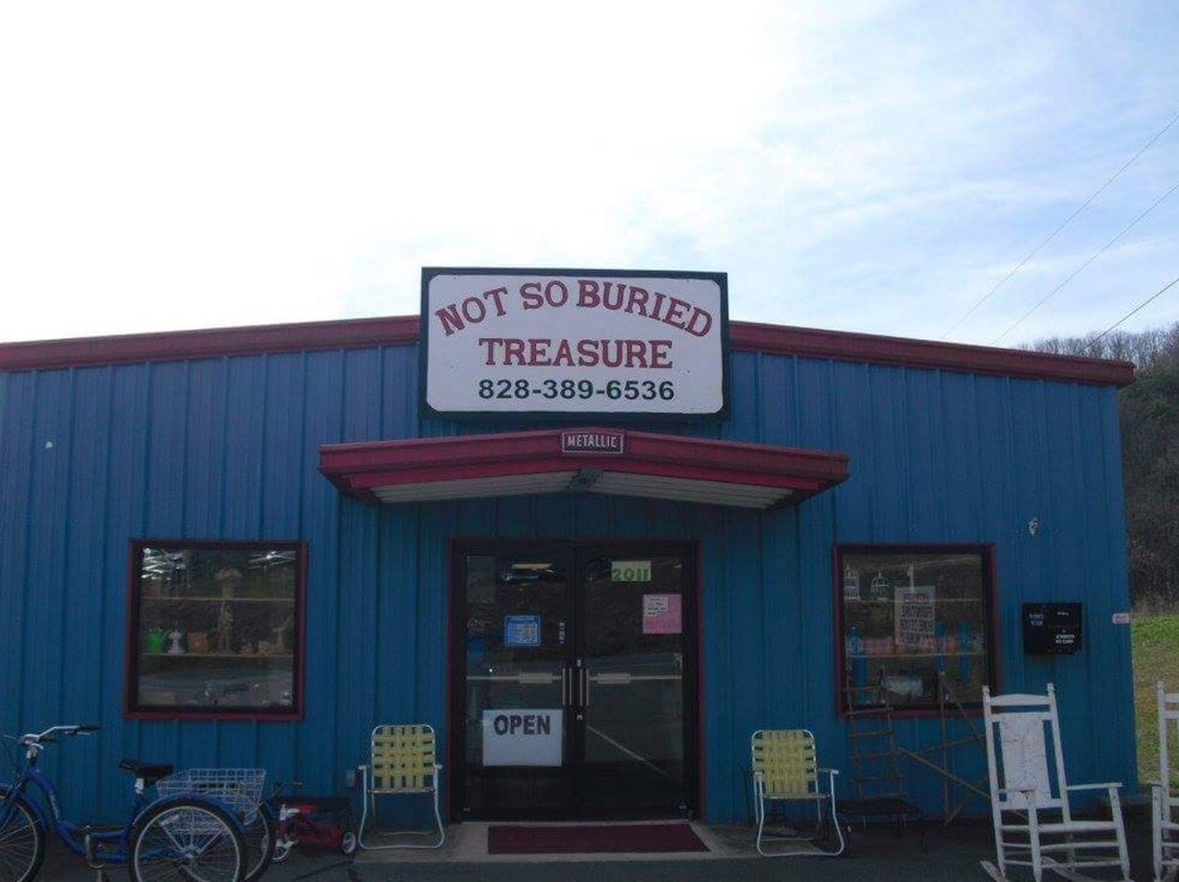 Hayesville旅游景点-Not So Buried Treasure