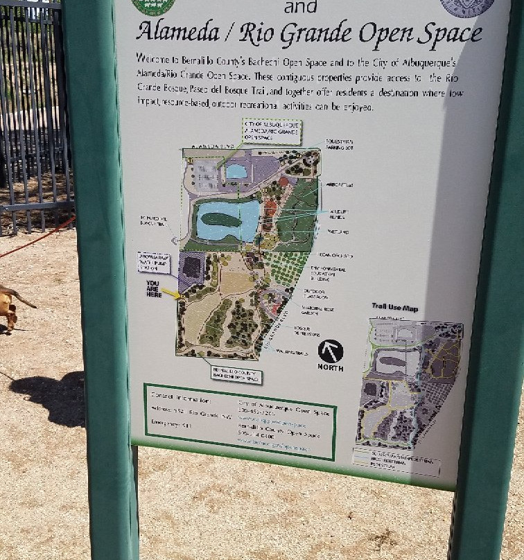 Bernalillo Open Space-阿尔伯克基必去景点