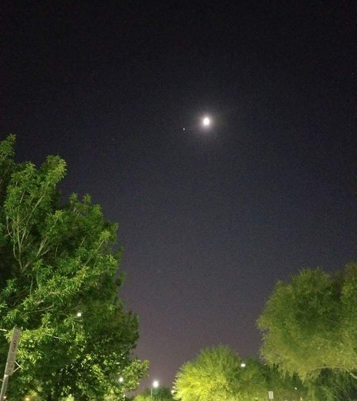 The Planetarium景点图片