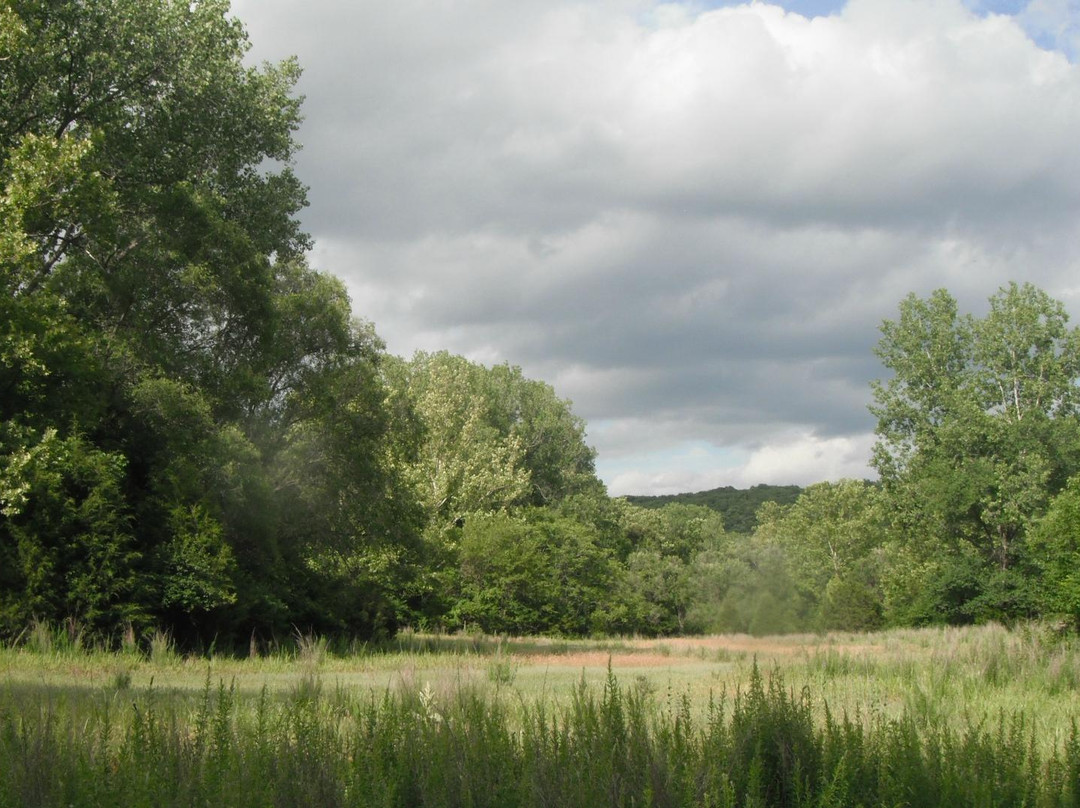 Al Foster Memorial Trail景点图片