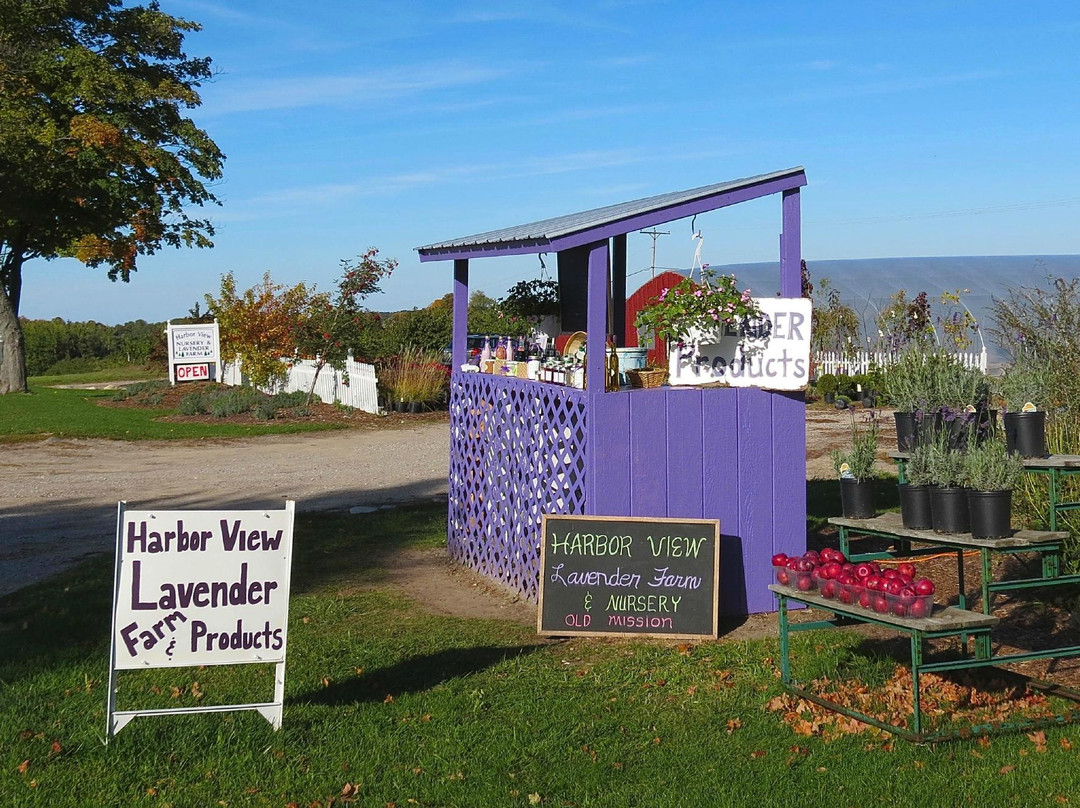 Harbor View Nursery & Lavender Farm景点图片