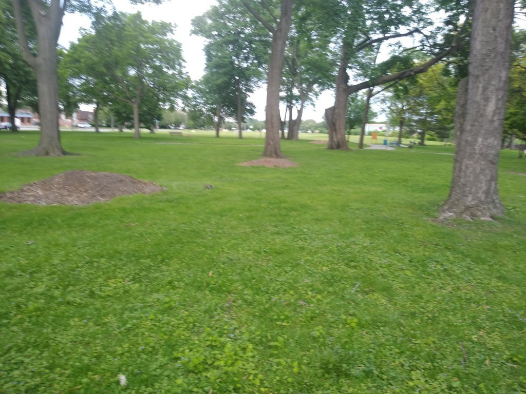 Harrison Township旅游景点-McArthur Park Arboretum