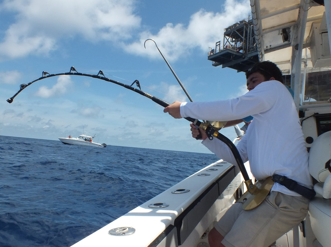 Captain Cook Charters-Venice必去景点