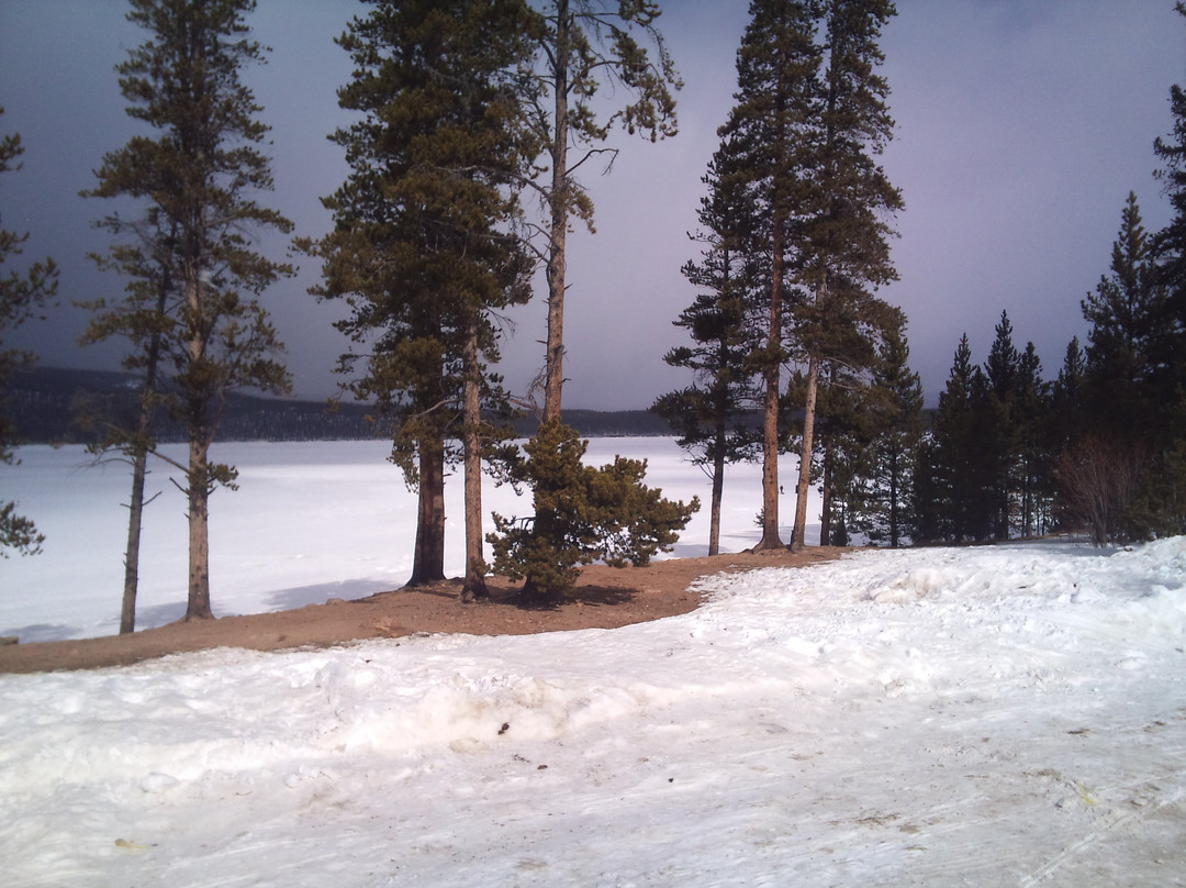 Turquoise Lake Recreation Area景点图片