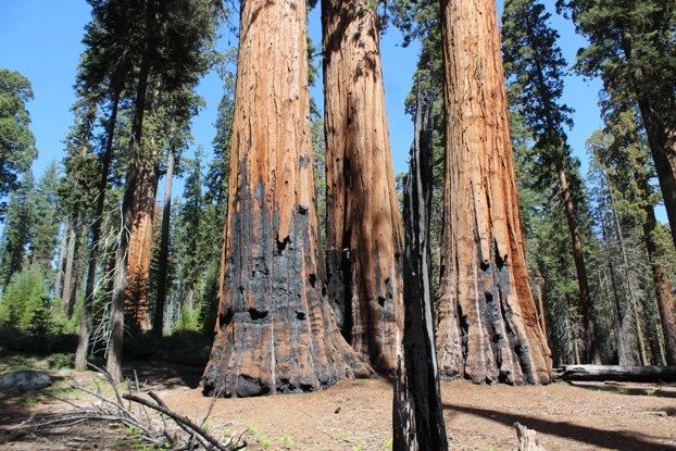 Chimney Rock Trail-红杉&国王峡谷国家公园必去景点