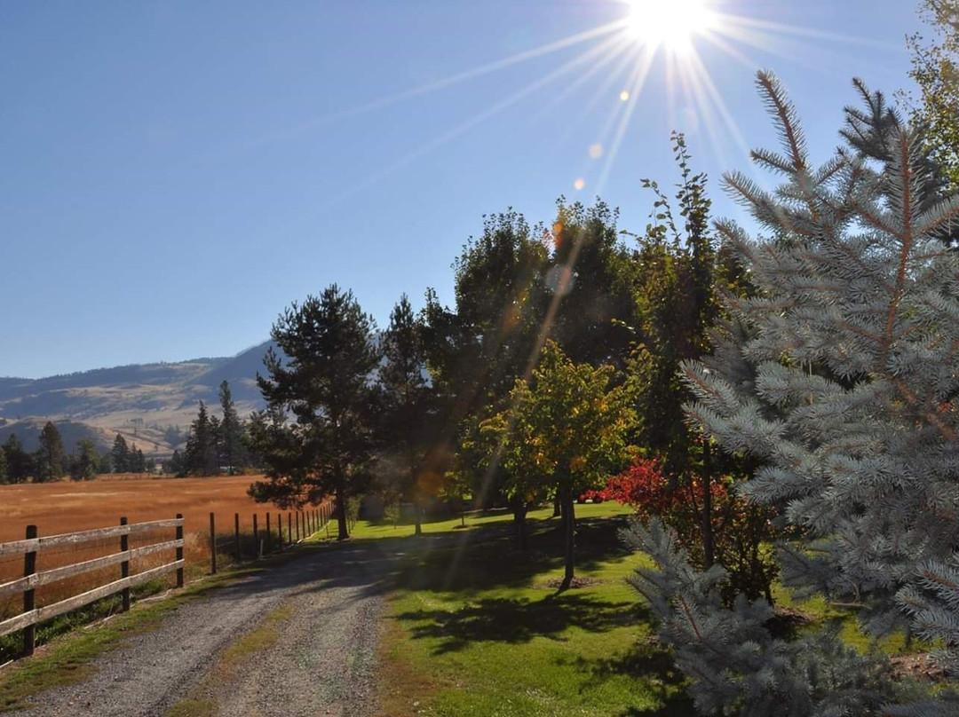 Privato Vineyard and Winery & Woodward Cider Co-坎卢普斯必去景点