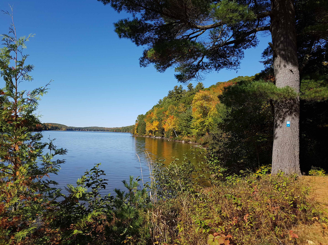 Lusk Cave-Chelsea必去景点