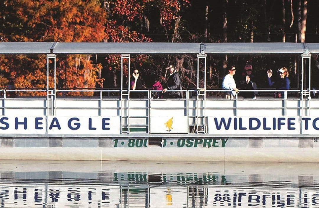 Fish Eagle Wildlife Tours景点图片