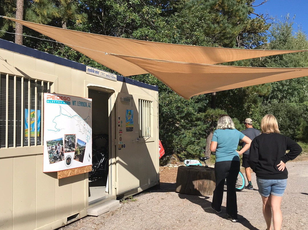 Pedego Electric Bikes Mt Lemmon-图森必去景点