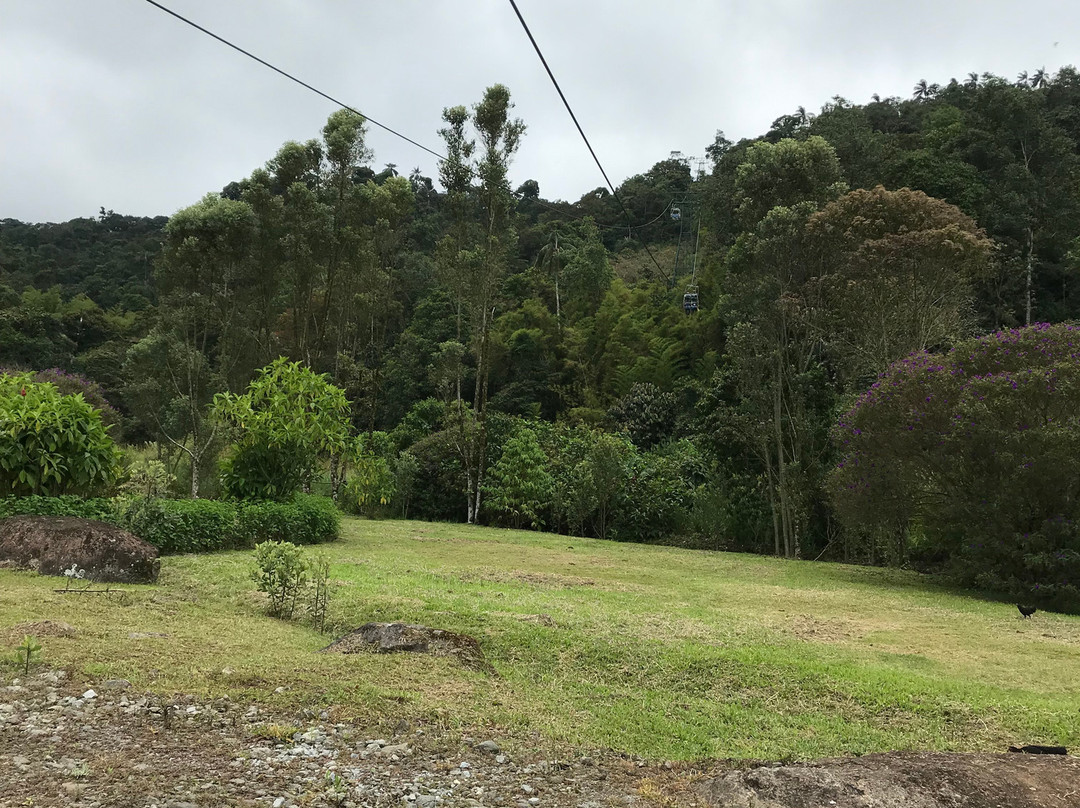 Minjoy Park-明多必去景点